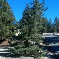 Foto scattata a The Lodge at Pine Cove da Kathy G. il 11/24/2012