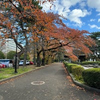 Photo taken at Tsutsujigaoka Park by batt on 11/19/2023
