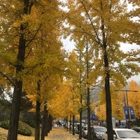 Photo taken at YONSEI University Wonju Campus by Jen J. on 10/29/2017