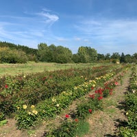Photo taken at The Rose Nursery by Dan S. on 9/3/2023