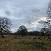 Photo taken at Richmond Park by Dan S. on 2/11/2024