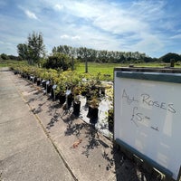 Photo taken at The Rose Nursery by Dan S. on 9/3/2023
