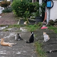 Review HLS Music - Yamaha Music Square Tebet