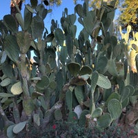 Cactus Garden Garden In Green Valley North