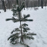 Photo taken at Сквер у Донского монастыря by Larisa K. on 12/12/2021