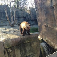 Photo taken at Brown Bears by ᴡ J. on 11/10/2012