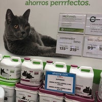 Photo taken at Petco San Antonio by Carla G. on 3/29/2019