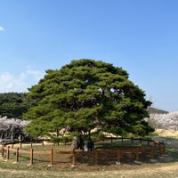 Photo taken at Hahoe Folk Village by PePe on 4/13/2023