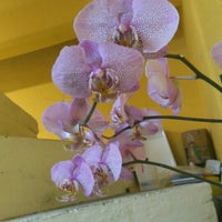 Photo taken at Orquídeas Shanter by Palito on 12/17/2015