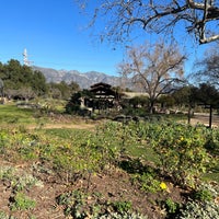 Photo taken at Descanso Gardens Rose Garden by David Z. on 1/21/2022