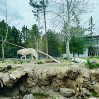 Photo taken at Grizzly &amp;amp; Wolf Discovery Center by David Z. on 6/5/2022
