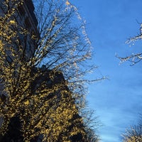 Photo taken at Avenue Montaigne by ᴬᴮᴱᴱᴿ on 12/27/2023