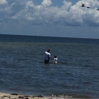 Bald Point State Park - State or Provincial Park