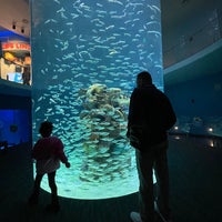 Foto diambil di Mississippi Aquarium oleh Margie P. pada 12/27/2023