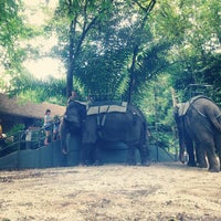 Photo taken at Elephant Ride @ S&amp;#39;pore Zoo by Charlene L. on 3/6/2013