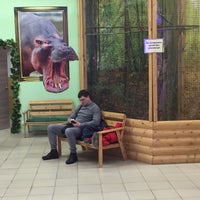 Photo taken at Контактный зоопарк &amp;quot;Зверюшки&amp;quot; by ЕВГЕНИЯ Щ. on 2/24/2017