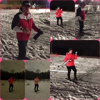 Алешкинский лес лыжная трасса