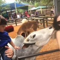 Photo taken at Houston Zoo Carousel by Leo L. on 4/1/2017