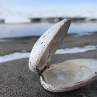 以久科原生花園 斜里町 北海道