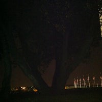 Photo taken at Tree of Life by Fitzroy M. on 10/27/2012
