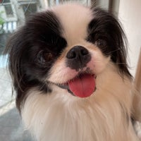 ドッグハート フロム アクアマリン 渋谷区 東京都