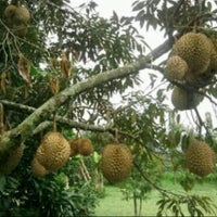 Review Gerbang Tol Grand Wisata