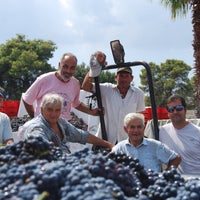 Foto scattata a Consorzio Produttori Vini Manduria da Consorzio Produttori Vini Manduria il 9/17/2013