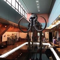 釧路市立博物館 春湖台1 7