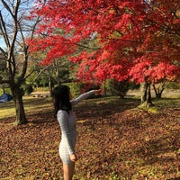 Photo taken at ロクハ公園 by 赤星 ☆. on 11/17/2019