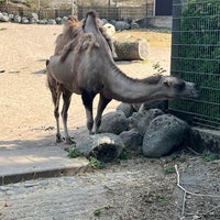 Photo taken at Korkeasaari Zoo by Jari T. on 6/17/2023