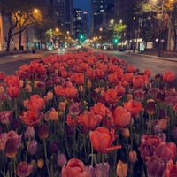 Photo taken at The Magnificent Mile by . on 5/7/2023