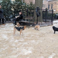 Photo taken at Robin Kovary Run for Small Dogs by Dan H. on 2/15/2019