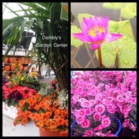 Photos At Damblys Garden Center - 2 Tips From 205 Visitors