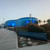 Photo taken at Aquarium of the Pacific by John Christian H. on 5/17/2024