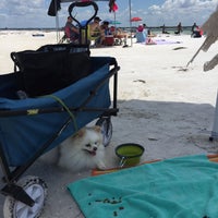 Photo taken at Honeymoon Island State Park Pet Beach by Cynful C. on 8/4/2018