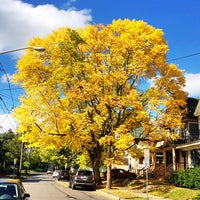 Menu Taste Of India Indian Restaurant In Syracuse