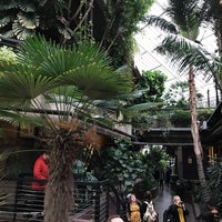 Photo taken at Barbican Conservatory by Joe N. on 1/29/2017