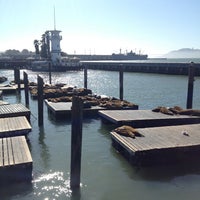 Photo taken at Sea Lions by Sandro P. on 4/18/2013