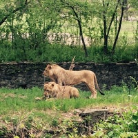 Foto tomada en Bronx Zoo  por Shelley H. el 5/9/2015