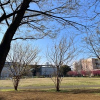 Photo taken at Higashiyama Park by Yusuke M. on 3/14/2023