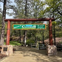 Das Foto wurde bei Lake Shasta Caverns von Chandaraprakash K. am 3/30/2024 aufgenommen