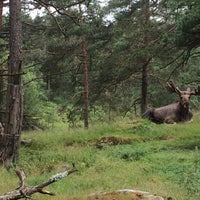 Foto diambil di Dyreparken oleh Adéla J. pada 7/8/2015