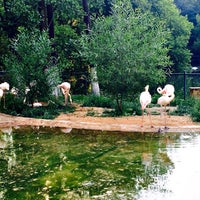 Photo taken at Зоопарк by Тот С. on 6/16/2015
