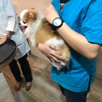 Photo taken at Bangkok Animal Hospital by Sirin P. on 8/16/2018