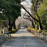 Photo taken at Aoyama Cemetery by 伊藤 on 2/25/2024