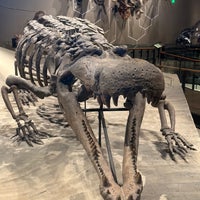 Foto tirada no(a) Natural History Museum of Utah por Marina O. em 7/29/2023