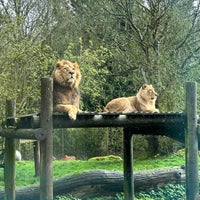 Photo taken at Cotswold Wildlife Park by Jose F. on 3/31/2023