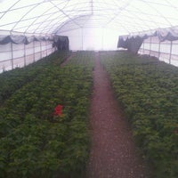 Photo taken at Productores Ecologicos de Xochimilco S. Cooperativa by Juan C. on 9/23/2012