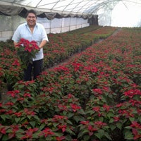 Photo taken at Productores Ecologicos de Xochimilco S. Cooperativa by Juan C. on 10/21/2012