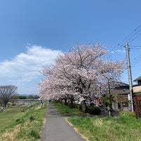 多摩川中央公園 福生市 Da Park 多摩川中央公園 福生市 Da Park